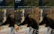 TikTok: Oso irrumpe en boda al aire libre y el video se vuelve viral - Noticias de oso-anteojos