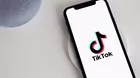 TikTok: Recomiendan no usar la aplicación a funcionarios en los Países Bajos