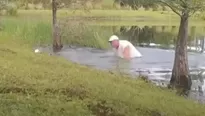 TikTok viral: Hombre se lanza a un lago y enfrenta a un cocodrilo para salvar a su perro. Foto: Captura / Video: RT