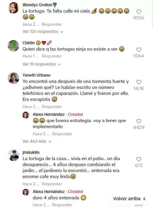 La hazaña de la tortuga sorprendió a los usuarios de TikTok 