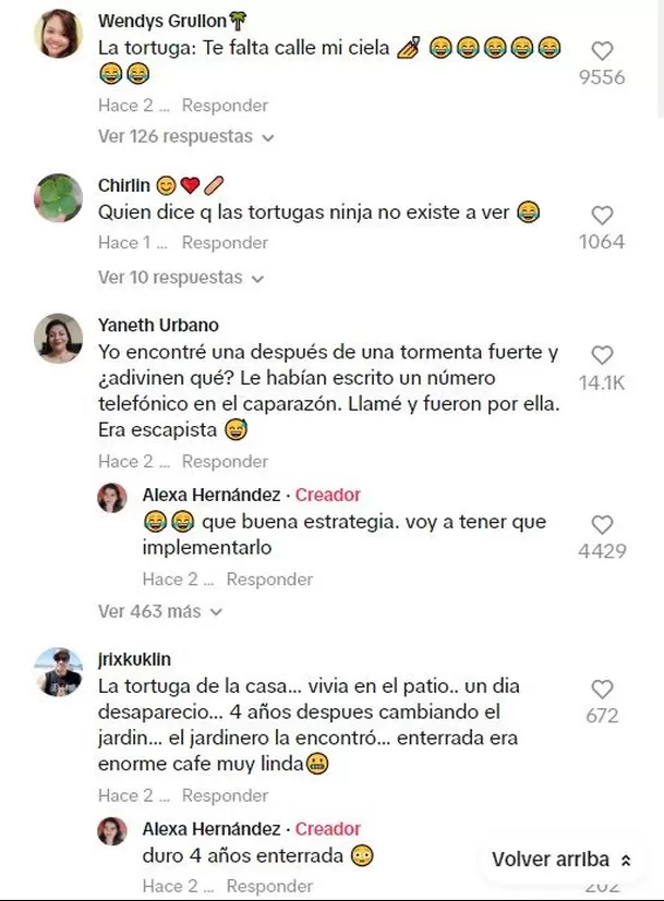 La hazaña de la tortuga sorprendió a los usuarios de TikTok 