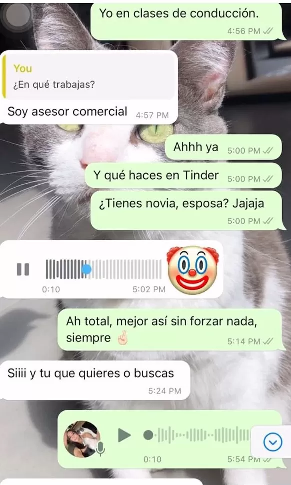 La joven compartió la conversación que tuvo con el novio de su amiga / Captura