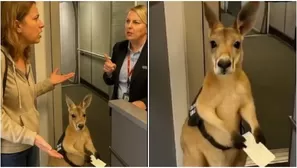 Esta es la verdad detrás del video viral de canguro en sala de embarque. Fuente: Instagram