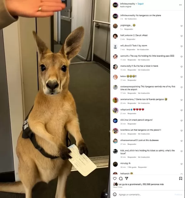 El video que circula en redes sociales fue creado con Inteligencia Artificial y se publicó en la cuenta de Instagram Infiniteunreality. El video que circula en redes sociales fue creado con Inteligencia Artificial y se publicó en la cuenta de Instagram Infiniteunreality.