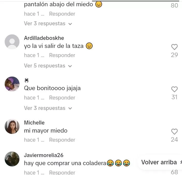 Comentarios en TikTok