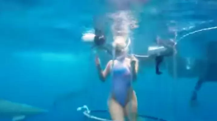 actriz porno fue atacada por un tiburón durante grabación de spot. Video: Infobae actriz porno fue atacada por un tiburón durante grabación de spot. Video: Infobae