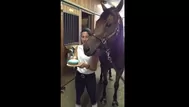 YouTube: caballo sorprendió a todos al soplar las velas de su cumpleaños