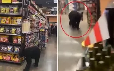 YouTube: Captan a oso paseando por pasillos de un supermercado - Noticias de supermercado