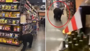 YouTube: Captan a oso paseando por pasillos de un supermercado. Imagen: Captura de video