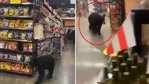 YouTube: Captan a oso paseando por pasillos de un supermercado. Imagen: Captura de video