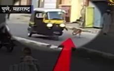 YouTube: Conductor de mototaxi sufre accidente por intentar patear a un perro - Noticias de madre-familia