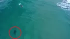 YouTube: Drone capta cómo un tiburón blanco se acerca peligrosamente a surfista