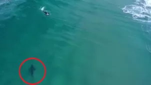 YouTube: Drone capta cómo un tiburón blanco se acerca peligrosamente a surfista. Video: Daily Mail