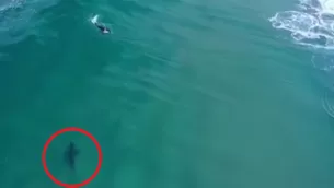 YouTube: Drone capta cómo un tiburón blanco se acerca peligrosamente a surfista. Video: Daily Mail