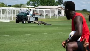 YouTube: Enorme cocodrilo irrumpe en el entrenamiento del club de fútbol Toronto FC