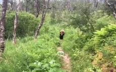 YouTube: el escalofriante encuentro de una pareja de recién casados con un enorme oso - Noticias de oso-anteojos