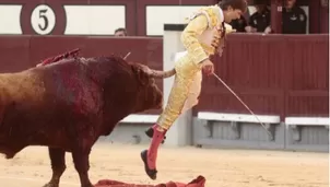 YouTube: el escalofriante momento en que torero francés recibe cornada. Foto: El Mundo