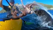 YouTube: foca golpea a kayakista con un enorme pulpo y causa risas a miles