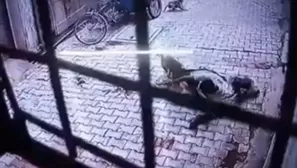 YouTube: grupo de monos ataca a un hombre y lo arroja al suelo en la India. Foto: captura