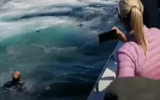 YouTube: Hombre casi es tragado por ballena luego que su bote chocara contra el animal - Noticias de ballena-jorobada