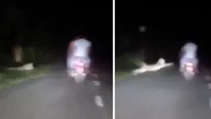 YouTube: Leopardo se lanza contra motocicleta con 2 pasajeros en carretera de India. Foto: captura/Video: @susantananda3 