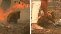 YouTube: Mujer arriesga su vida para salvar a koala en medio de incendios en Australia. Foto: captura/Video: RT