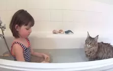 YouTube: niña autista y su gata forman la más tierna amistad del mundo - Noticias de gata-miedosa
