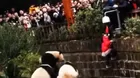 YouTube: niña cae a fosa de pandas gigantes y causa pánico en zoológico