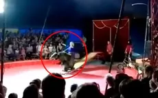 YouTube: oso azotado en circo de Rusia atacó a entrenador para defenderse  - Noticias de oso-anteojos