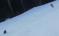 YouTube: Oso salvaje persigue a esquiador en plena bajada por una pista de esquí - Noticias de oso-paddington