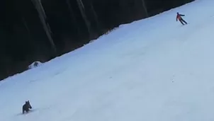 YouTube: Oso salvaje persigue a esquiador en plena bajada por una pista de esquí. Foto: Captura