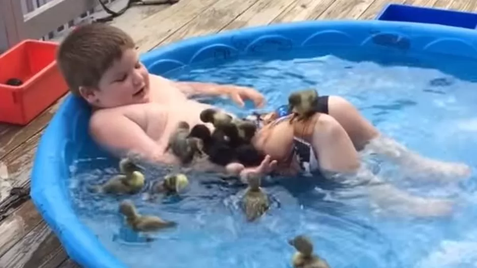 YouTube: pequeño se divierte bañándose con patitos bebés de carne y hueso YouTube: pequeño se divierte bañándose con patitos bebés de carne y hueso