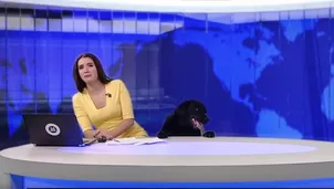 Perrito se robó el show en noticiero ruso. Video: Youtube 'МТРК Мир'