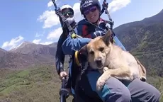 YouTube: Perro ‘practica’ parapente al lado de sus dueños y se vuelve viral - Noticias de viral