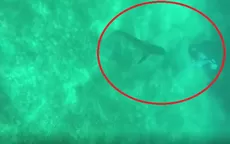 YouTube: el preciso momento en el que tiburón ataca a pescador en Bahamas - Noticias de bahamas