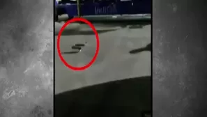 YouTube: Serpiente irrumpe en avión y desata el pánico entre los pasajeros. Video: Captura Canal N