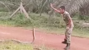 YouTube: soldado se encuentra con la serpiente venenosa más grande del mundo y su reacción impacta a miles. Foto: captura