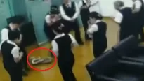 El video del preciso momento de la aparici&oacute;n de la serpiente ya cuenta con miles de reproducciones en YouTube. (Foto: Captura/Video: Canal N)