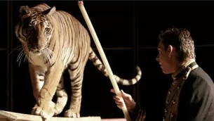 YouTube: tigre aterra al público al escapar de jaula en pleno show en circo. Foto: captura/Video: South China Morning Post