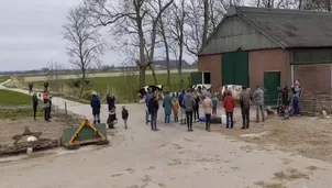 YouTube: Vacas pasan todo el invierno encerradas, las liberan y su reacción se vuelve viral. Foto: Captura / Video: Twitter @smeerlingantiek