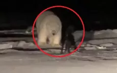 YouTube viral: captan el inesperado juego entre un perro y un oso polar - Noticias de oso