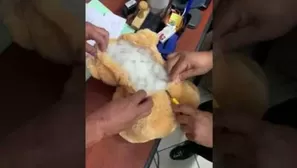 Hombre regala un peluche cargado con marihuana a su ex novia y luego la denuncia. Foto y video: La Nación