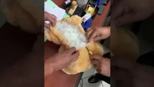 Hombre regala un peluche cargado con marihuana a su ex novia y luego la denuncia. Foto y video: La Nación