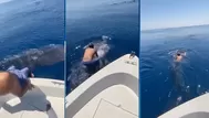 YouTube viral: Hombre salta encima de un tiburón ballena y lo monta