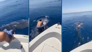 YouTube viral: Hombre salta encima de un tiburón ballena y lo monta. Foto: Captura