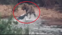 El video del inesperado enfrentamiento es viral en YouTube. (Foto: Captura/Video: Maasai Sightings)