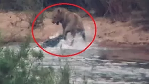 El video del inesperado enfrentamiento es viral en YouTube. (Foto: Captura/Video: Maasai Sightings)