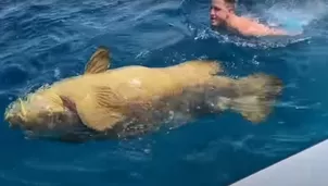 Mero enorme tira por la borda a 2 pescadores. Foto: Captura