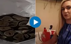 Estados Unidos: Mujer de Florida encuentra una serpiente en su lavadora - Noticias de serpiente