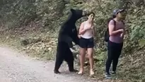 Oso abraza a una joven, pero ella mantiene la calma y hasta se toma una selfie. Foto: Captura